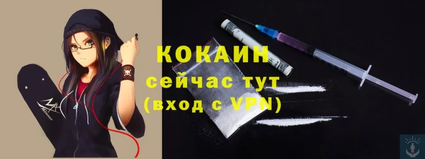 сатива Богородицк