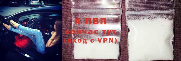 сатива Богородицк