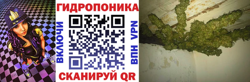 мега сайт  Курск  Конопля OG Kush  купить  цена 